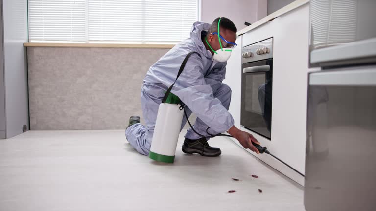 Best Commercial Pest Control  in Cut Off, LA